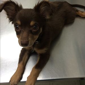 Meet your Posher, Christian